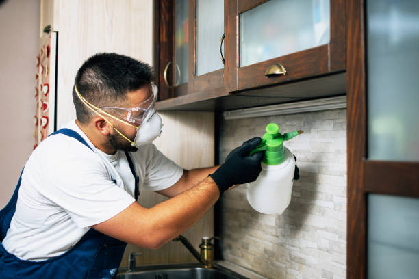 Best Affordable Pest Control Services  in Frostburg, MD
