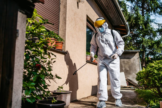 Best Wasp Removal Services  in Frostburg, MD