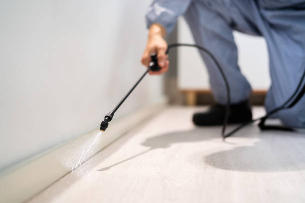 Pest Prevention Services in Frostburg, MD