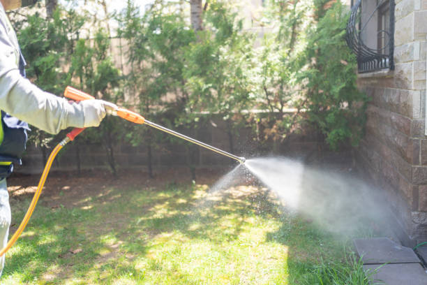 Best Best Pest Control Companies  in Frostburg, MD