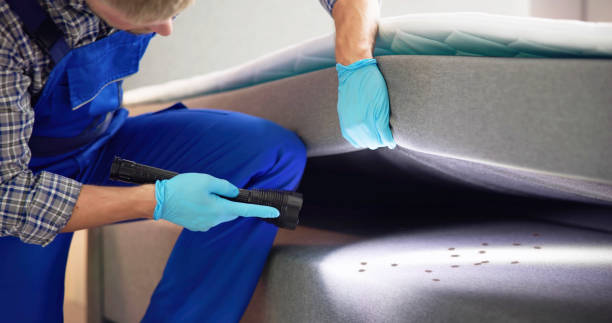Best Bed Bug Extermination  in Frostburg, MD