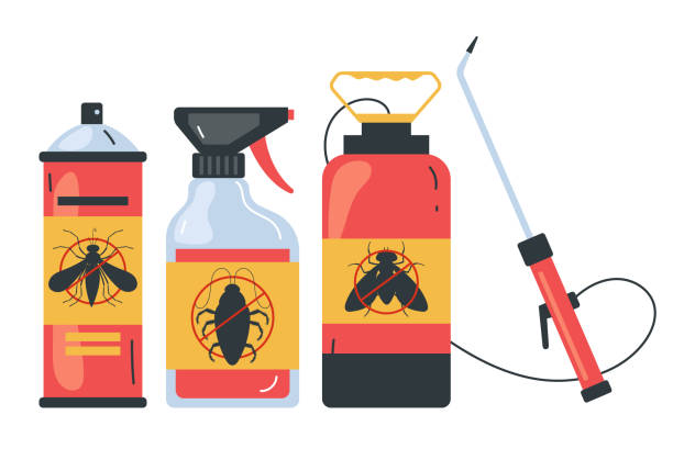 Best Spider Control Near Me  in Frostburg, MD