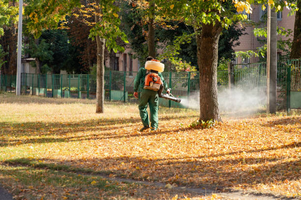 Best Flea Control Services  in Frostburg, MD