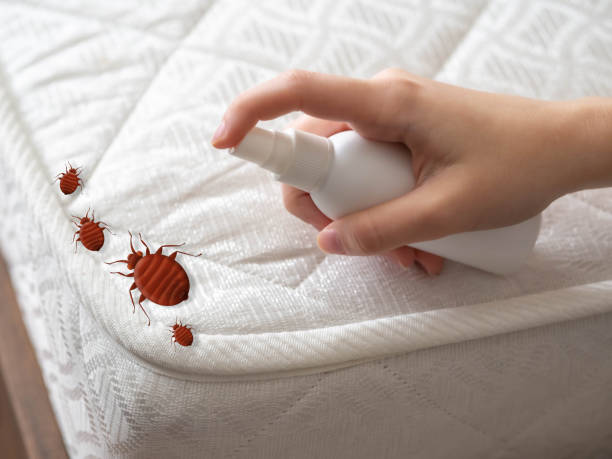  Frostburg, MD Pest Control Pros