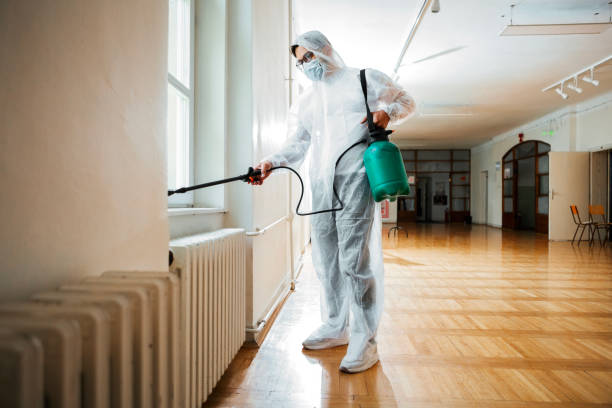 Best Local Pest Control Services  in Frostburg, MD