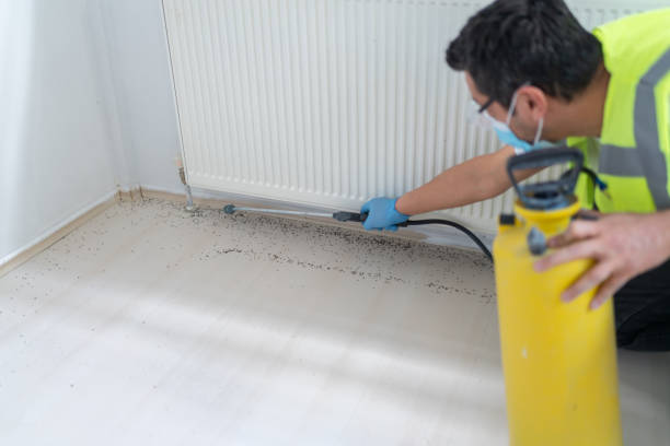 Best Pest Removal Services  in Frostburg, MD