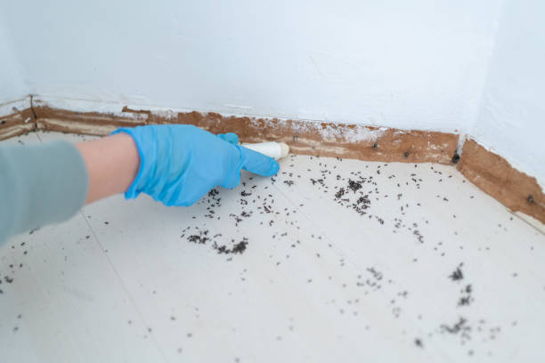 Best Pest Inspection Near Me  in Frostburg, MD
